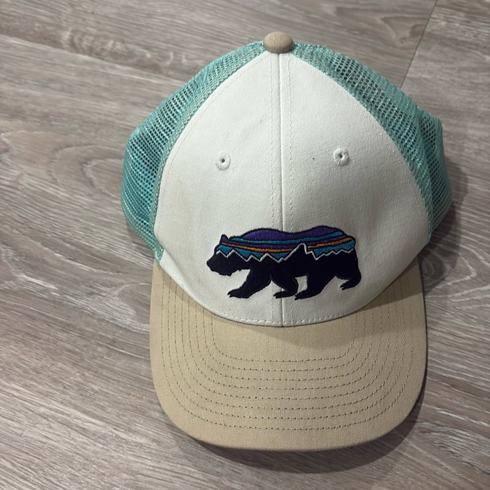 Patagonia hat